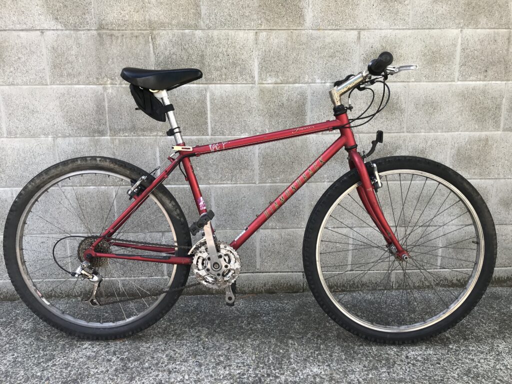 Bicycle Self-Employment